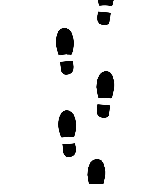 Protegido: ACUERDO HOMOLOGACIÓN/INTEGRACIÓN